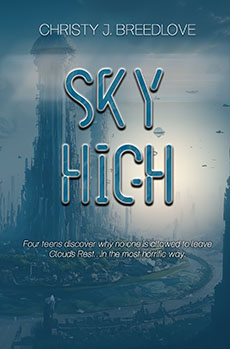 Sky High by Christy J. Breedlove