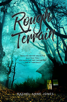 Rough Terrain by Rachel Anne Jones